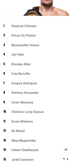 Рейтинг среднего веса UFC